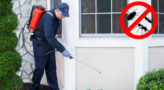 Hassa Bit İlaçlama böcek ilaçlama ve haşere kontrolü — ilaclama-tr.com